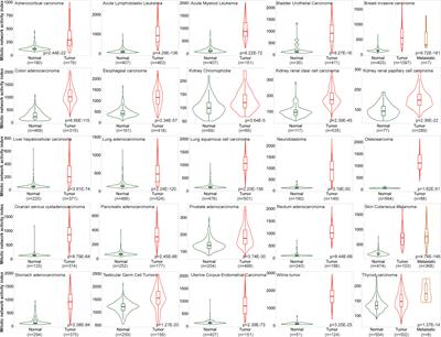 Pan-cancer evaluation of clinical value of mitotic network activity index (MNAI) and its predictive value for immunotherapy